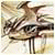 Hetinjed's Avatar